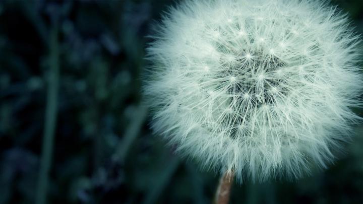 Clean Wallpapers HD (48 Wallpapers) \u2013 Adorable Wallpapers