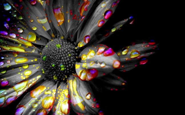 Black and Color Wallpaper (61+ images)
