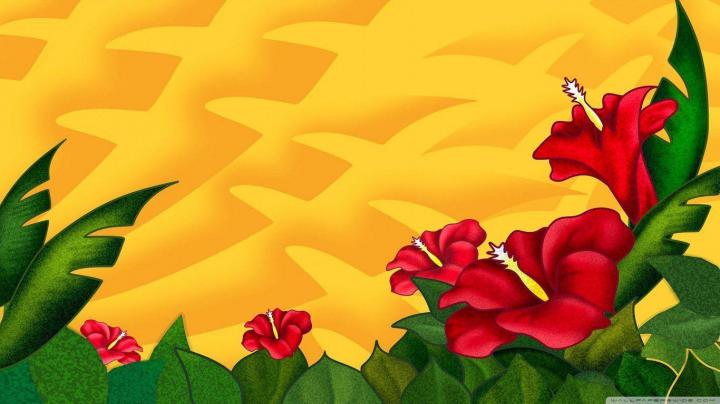 Hibiscus Flower Wallpapers