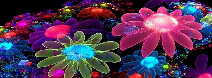 Colorful 3d Flowers Facebook Timeline Cover Picture | Flower desktop 