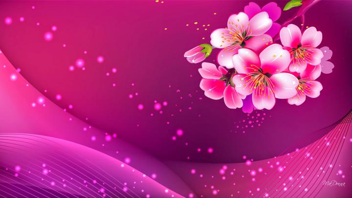 Wallpapers of bollywood aishwarya katrina kaif aishwarya rai kareena 