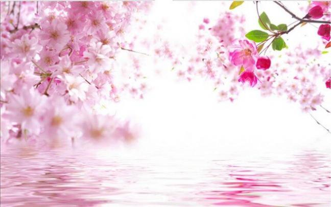 3d murals wallpaper Fashion simple pink flower 3d wallpaper flower 