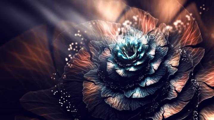3D, Abstract, Fractal, Fractal Flowers, Digital Art Wallpapers HD 