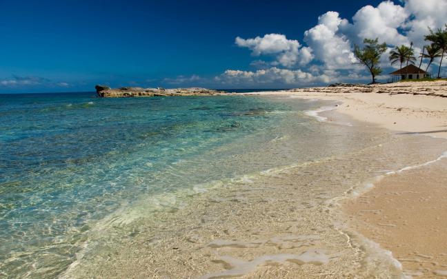 landscape, Nature, White, Sand, Beach, Caribbean, Sea, Palm Trees 