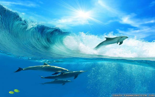 Bahamas Wallpapers (54+ images)