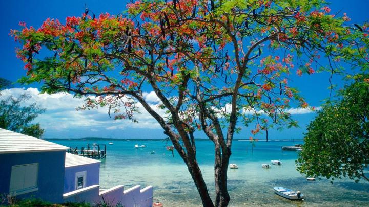 Bahamas Beaches Wallpaper (58+ images)
