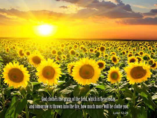 Lenten Special: Free Inspirational Christian Nature HD Desktop 