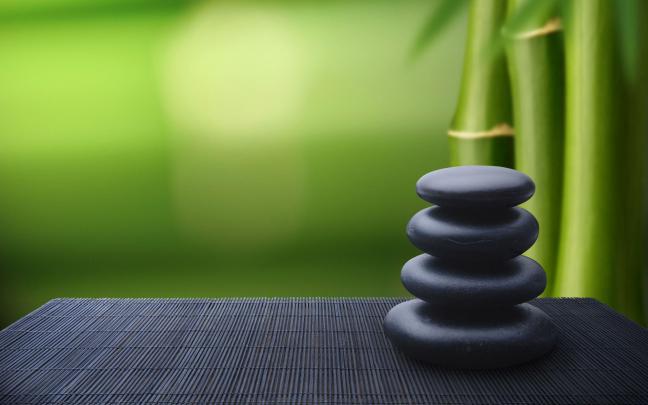 Bamboo Desktop Wallpapers