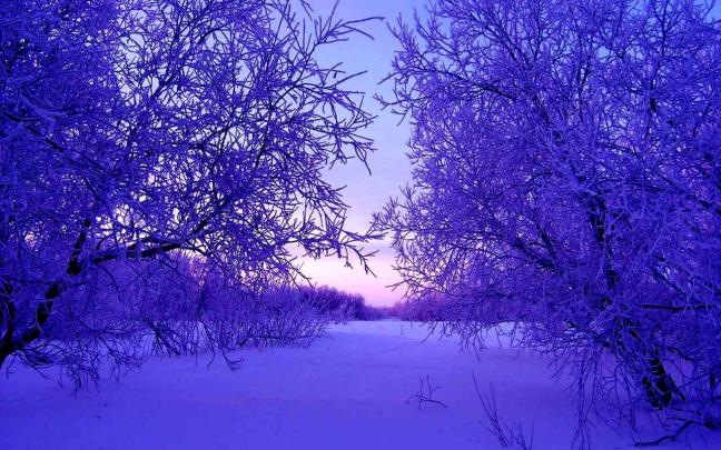 Free download 4k Winter Wallpapers High Quality Download [3840x2160 
