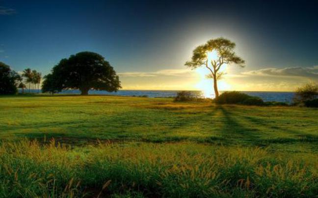 Spring desktop wallpaper 81+ Full HD Graphics #wallpaper # 