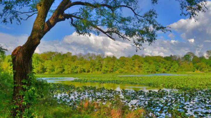 Free download 4k desktop wallpaper 5jpg Nature Wallpaper Cool 