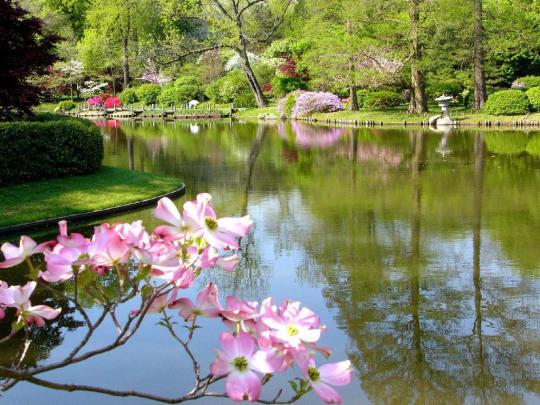 Free Springtime Desktop Wallpapers