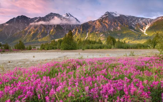 Early Spring Wallpaper Backgrounds (53+ images)
