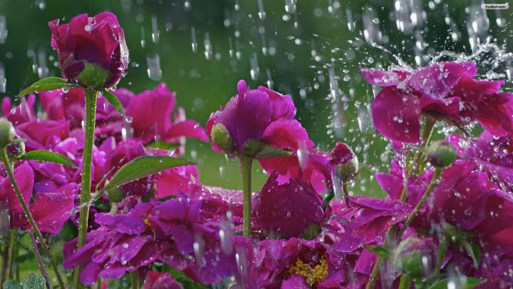Early Spring HD Wallpaper (50+ images)