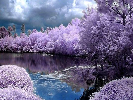 10 Top Free Early Spring Desktop Wallpaper FULL HD 1080p For PC 