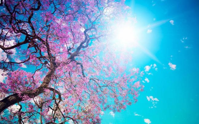 Early Spring Wallpapers