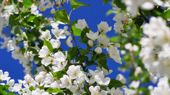 Early Spring Wallpaper (52+ images)