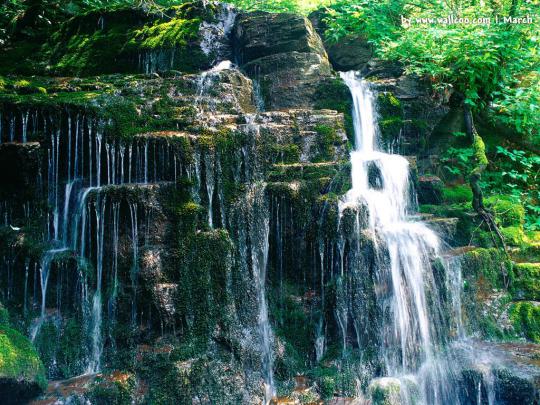 Early Spring Desktop Wallpaper -