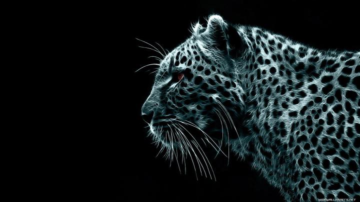 Cool Wallpapers 1920x1080 (73+ images)