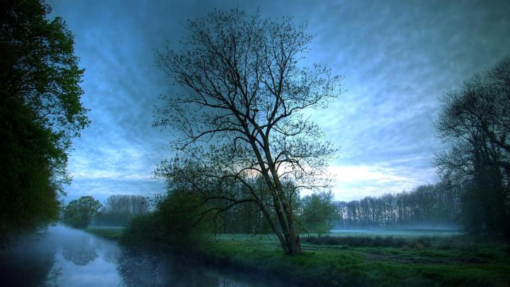 HD Wallpapers Widescreen 1920X1080 (75+ background pictures)