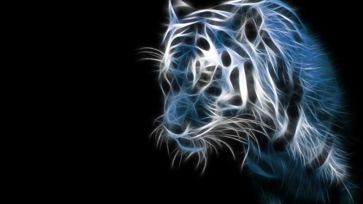 Amazing Hd Wallpapers For Pc | Zendha
