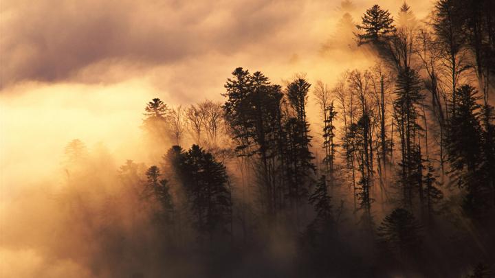 hd wallpaper widescreen 1920x1080 Gallery