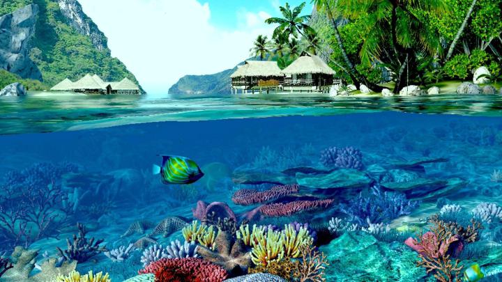 Reef Wallpapers (61+ background pictures)