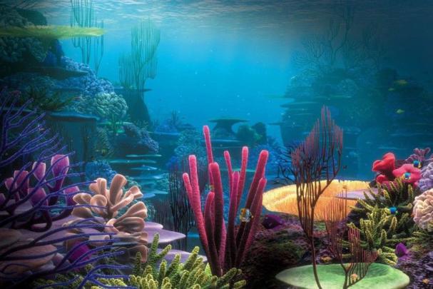 Coral Reef Wallpapers \u00b7\u2460 