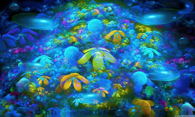 [48+] Coral Reef Wallpaper HD 