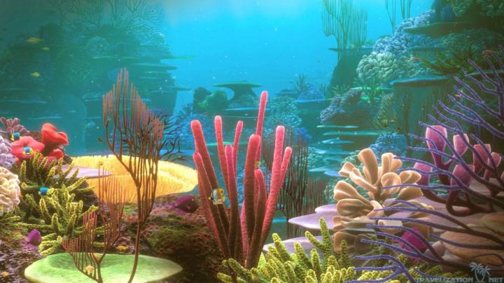 Coral Reef Wallpapers