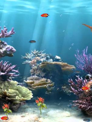 Free download Coral Reef Aquarium Animated Motion Background [1920x1080 