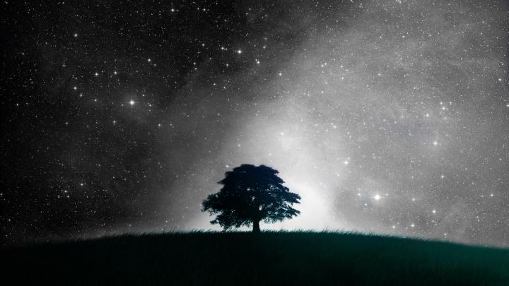 Cosmos Wallpaper HD -