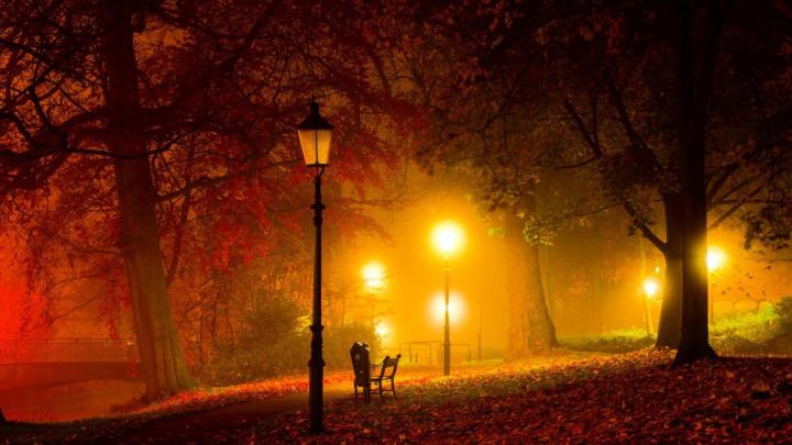 Free download Wallpaper 1920x1080 Warm [1920x1080] for your Desktop 