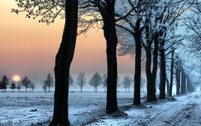 Free download The winter will be warm wallpapers [1920x1080] for your 