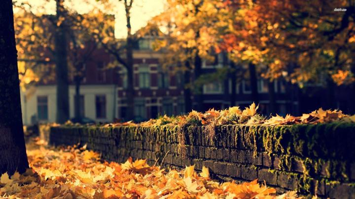 London Autumn Wallpapers - Top Free London Autumn Backgrounds 