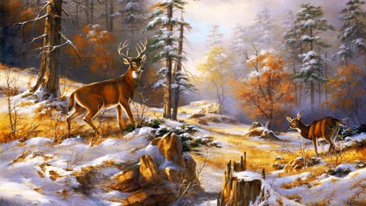 Cozy Winter Wallpaper (64+ images)