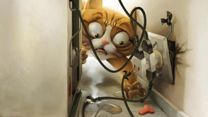 Crazy Hd Wallpapers -