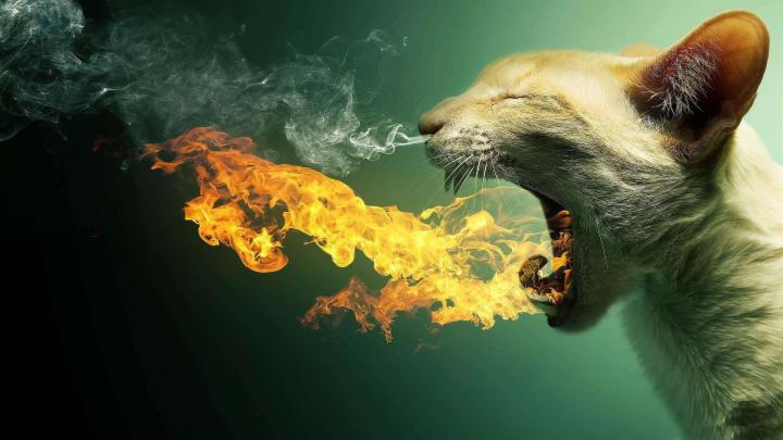 43+ Crazy wallpapers \u00b7\u2460 Download free amazing wallpapers for desktop 