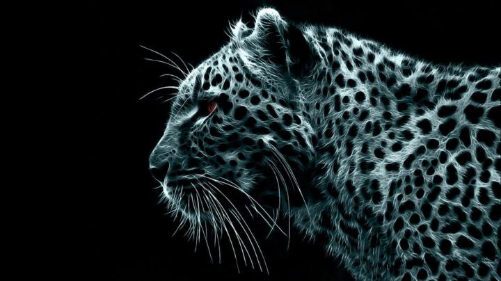 Free download Crazy Wallpapers [1920x1080] for your Desktop, Mobile 