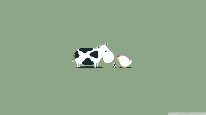 Crazy Wallpapers for Desktop (71+ images)