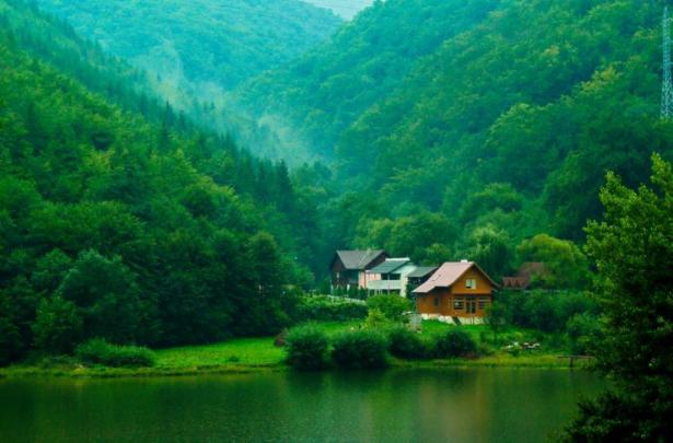 Free Desktop Backgrounds Nature