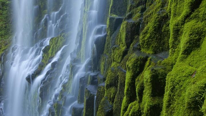 Free Desktop Oregon Wallpapers