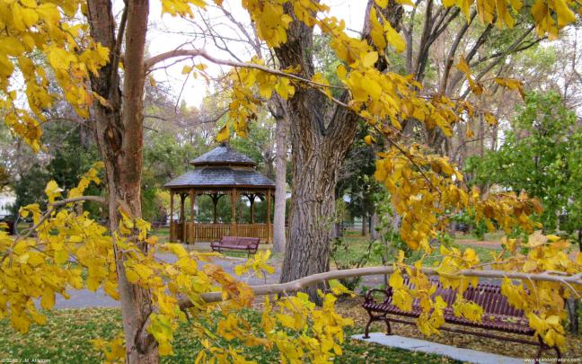 Free Seasonal Desktop Wallpapers