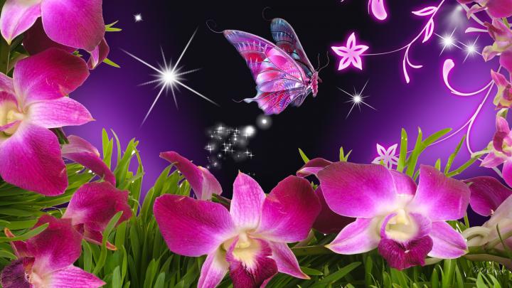 butterfly wallpaper free download mobile - HD Desktop Wallpapers