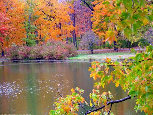 Autumn Wallpaper for Desktop \u00b7\u2460 