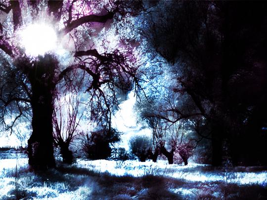 cidyjufun: gothic desktop wallpaper
