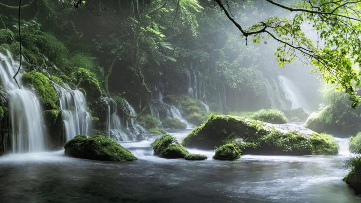 Spring Waterfall Stone Fog Mist Green Forest 4K HD Nature Wallpapers 