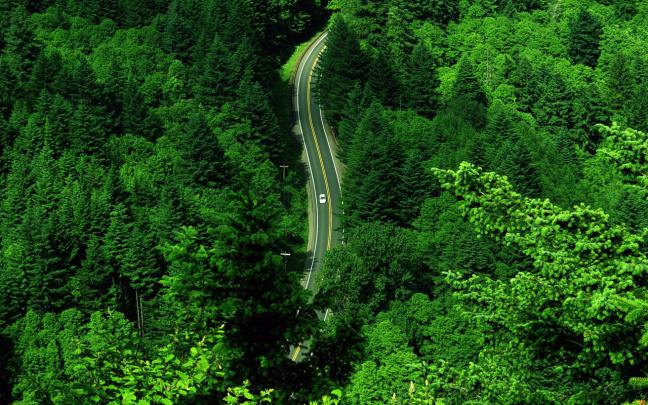 Desktop Nature wallpaper: beautiful pictures of green nature, natural 