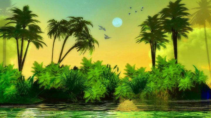 Green Desktop Background (69+ images)