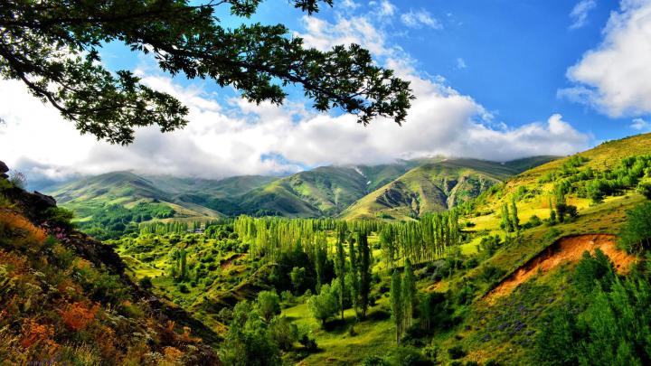 4k Nature Green Wallpapers - Top Free 4k Nature Green Backgrounds 
